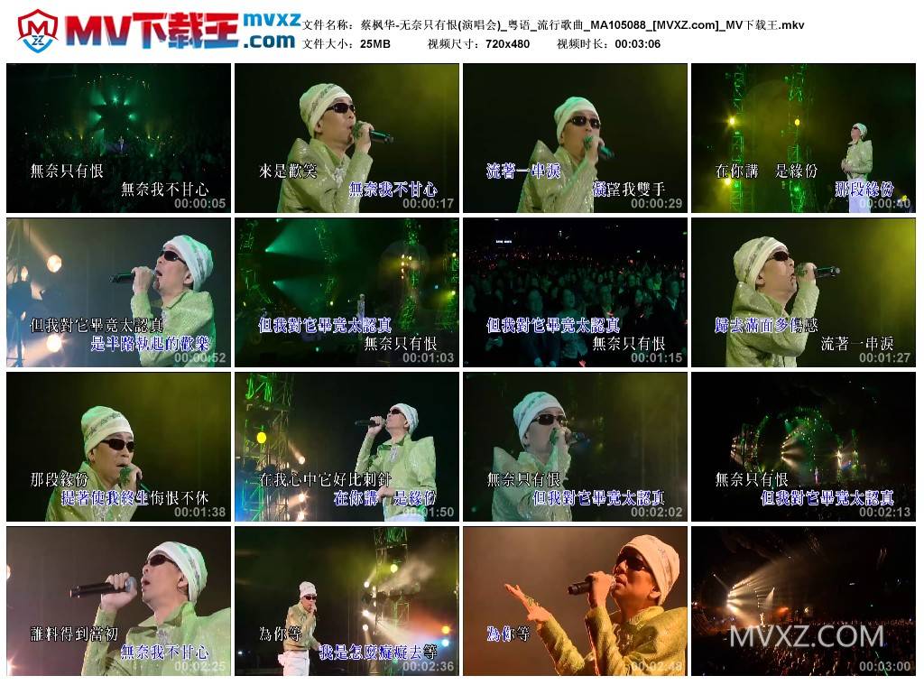 蔡枫华-无奈只有恨(演唱会)_粤语_流行歌曲_MA105088